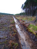 EHG4384_009.JPG