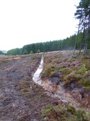 EHG4384_010.JPG