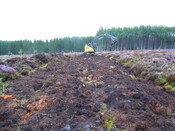 EHG4384_011.JPG