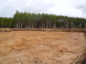 EHG4384_026.JPG