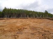 EHG4384_028.JPG