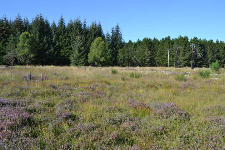 EHG4386_01.JPG