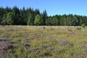 EHG4386_01.JPG