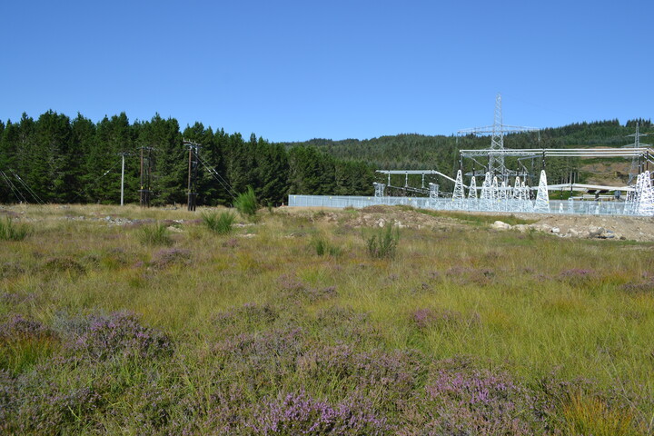 EHG4386_02.JPG