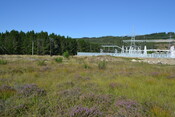EHG4386_02.JPG