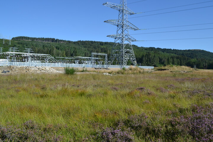 EHG4386_04.JPG