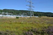 EHG4386_04.JPG