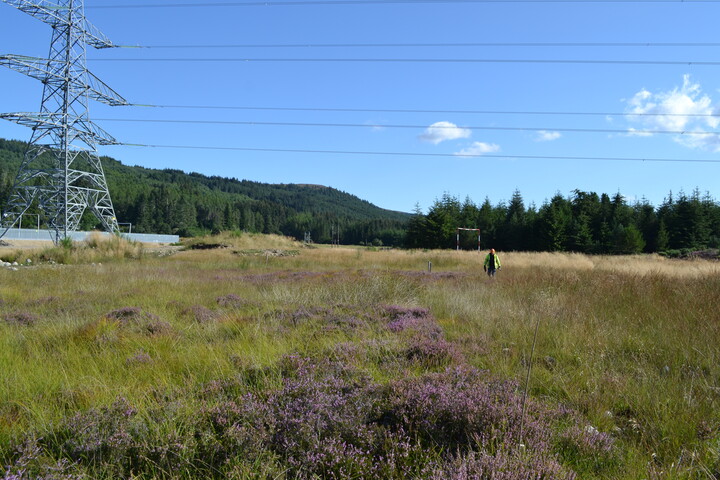 EHG4386_05.JPG