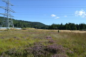 EHG4386_05.JPG