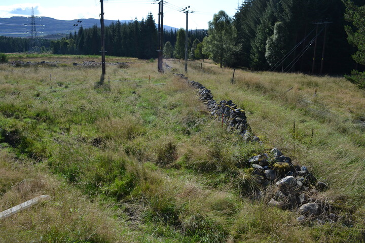 EHG4386_08.JPG