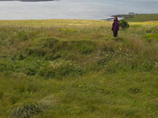 EHG4402_16.JPG