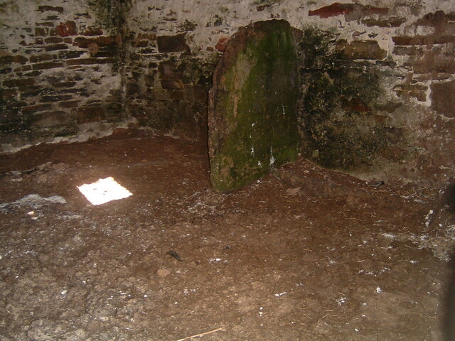EHG4413_04.jpg