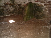 EHG4413_04.jpg