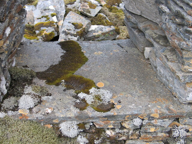 EHG4415_05.JPG