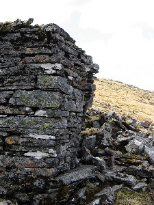 EHG4415_06.Jpg