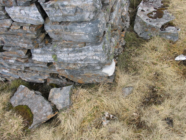 EHG4415_07.JPG