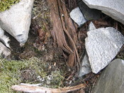 EHG4415_09.JPG