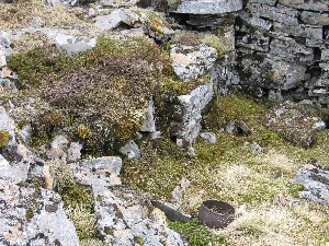 EHG4415_10.Jpg