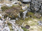 EHG4415_10.Jpg