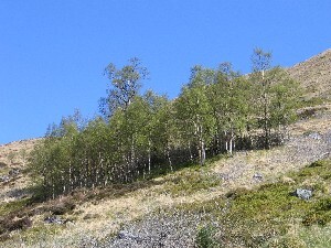 EHG4415_16.Jpg