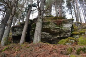 EHG3850_03.JPG