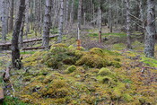 EHG3850_08.JPG