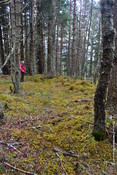 EHG3850_10.JPG