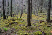 EHG3850_11.JPG