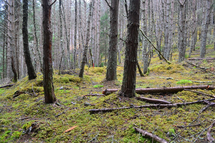 EHG3850_12.JPG