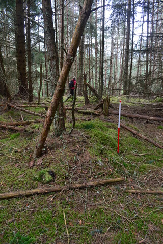 EHG3850_13.JPG