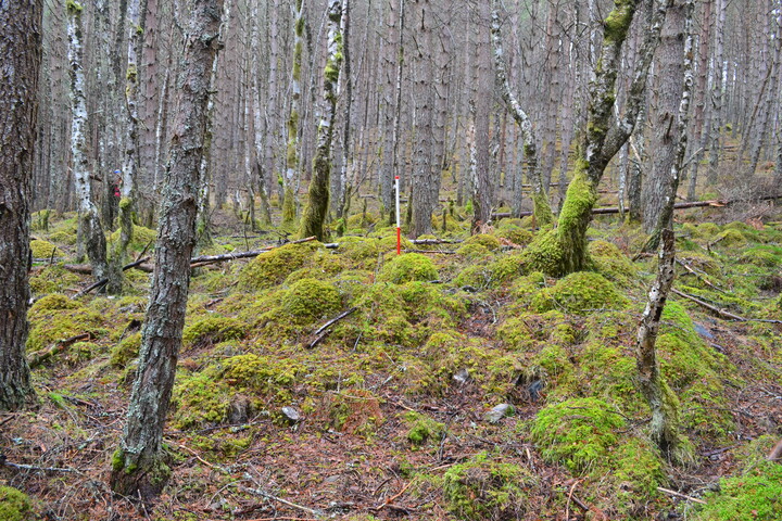 EHG3850_14.JPG
