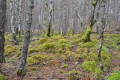 EHG3850_14.JPG