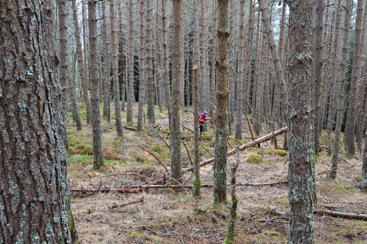 EHG3850_15.JPG