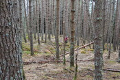 EHG3850_15.JPG