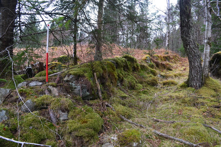EHG3850_18.JPG