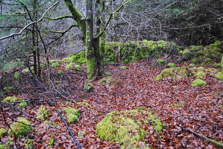 EHG3850_23.JPG