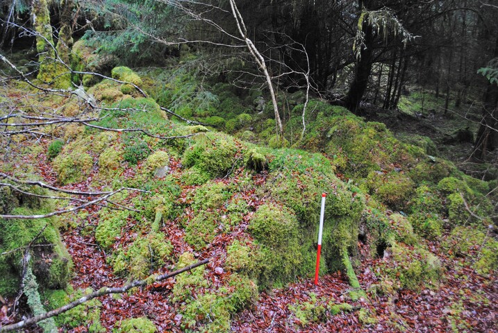 EHG3850_24.JPG