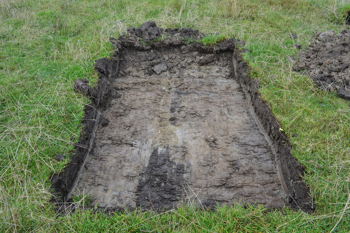 EHG4429_05.jpg