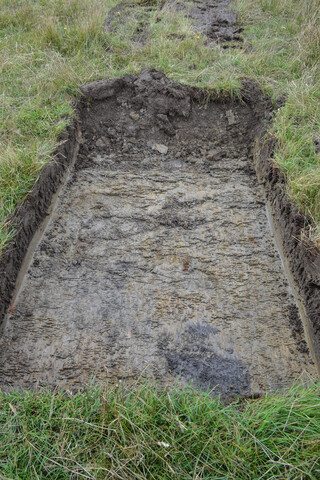 EHG4429_07.jpg