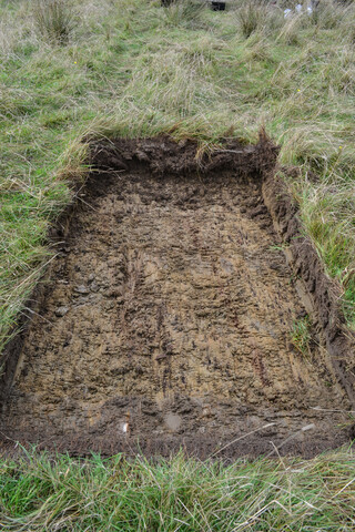 EHG4429_10.jpg
