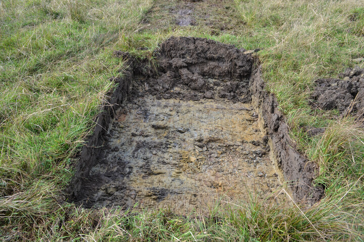 EHG4429_11.jpg