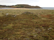 MHG12629_Dun_Riaskidh_2.jpg