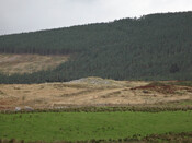 MHG6353_Boath_Short_Cairn_2.jpg