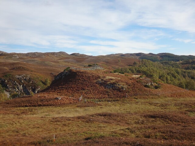 MHG2651_01.jpg