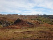 MHG2651_01.jpg