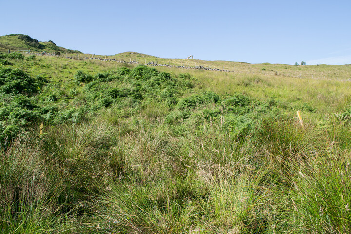 EHG4451_image_33.jpg
