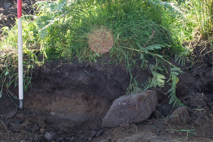 EHG4451_image_43.jpg