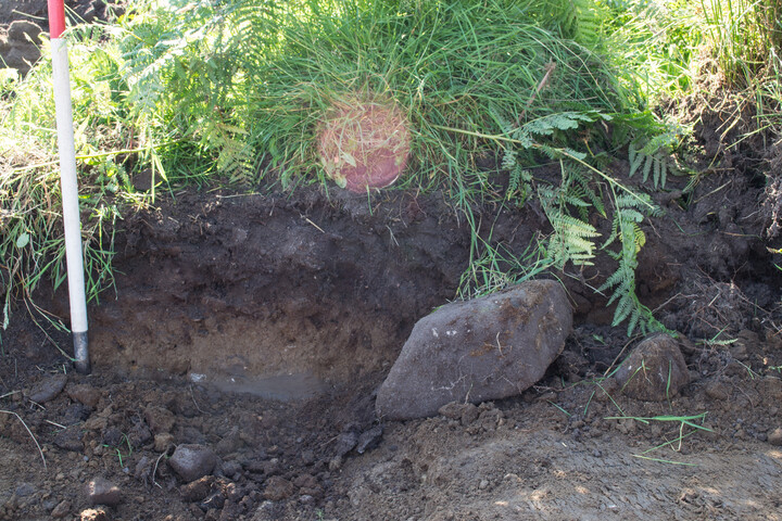 EHG4451_image_44.jpg