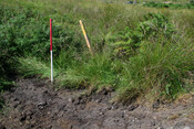 EHG4451_image_45.jpg