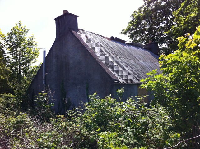 EHG4456_09.JPG
